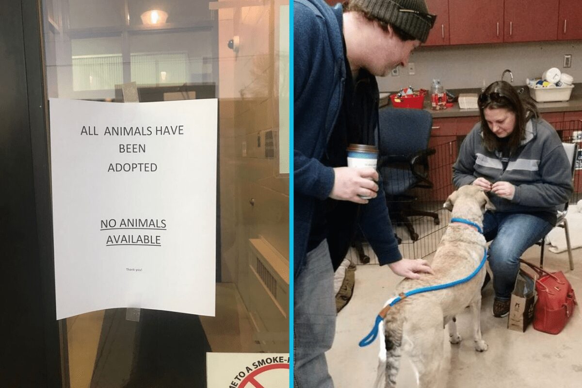 Animal shelter celebrates as all their animals get adopted into fur-ever homes right before the holidays.