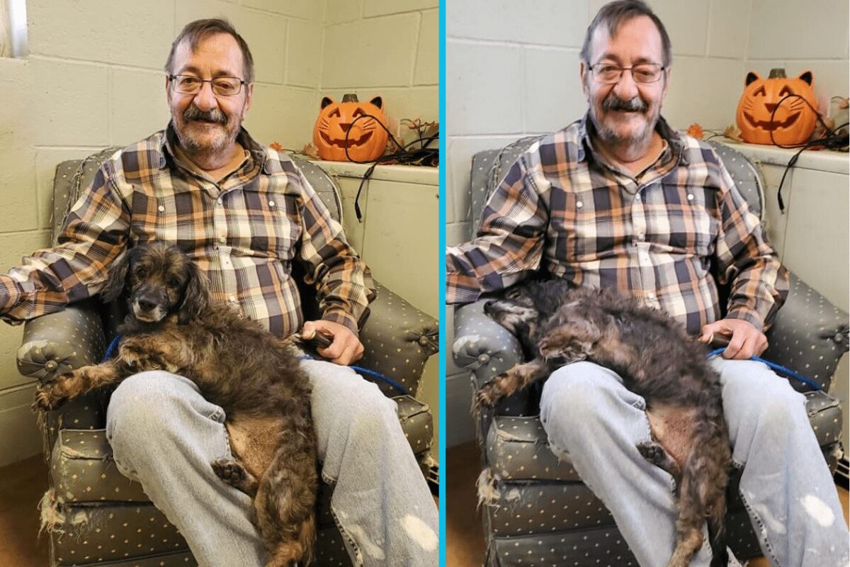 Elderly man adopts senior dog that no one else wanted – this is the moment he knew he was finally safe.