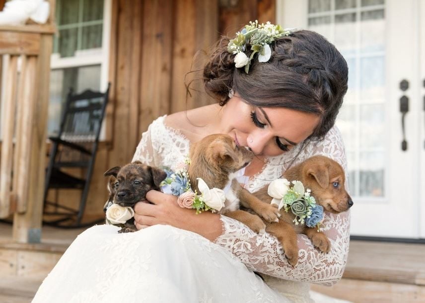 Bridal party carries rescue puppies down the aisle instead of bouquets to try and get them adopted.