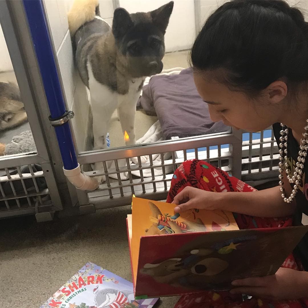 Kids bring holiday cheer and comfort to shelter animals with book reading and treats.