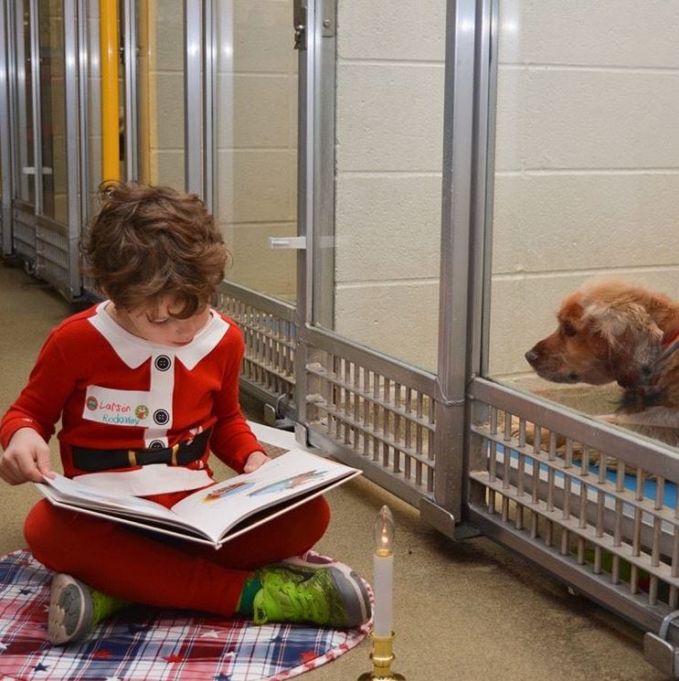 Kids bring holiday cheer and comfort to shelter animals with book reading and treats. 