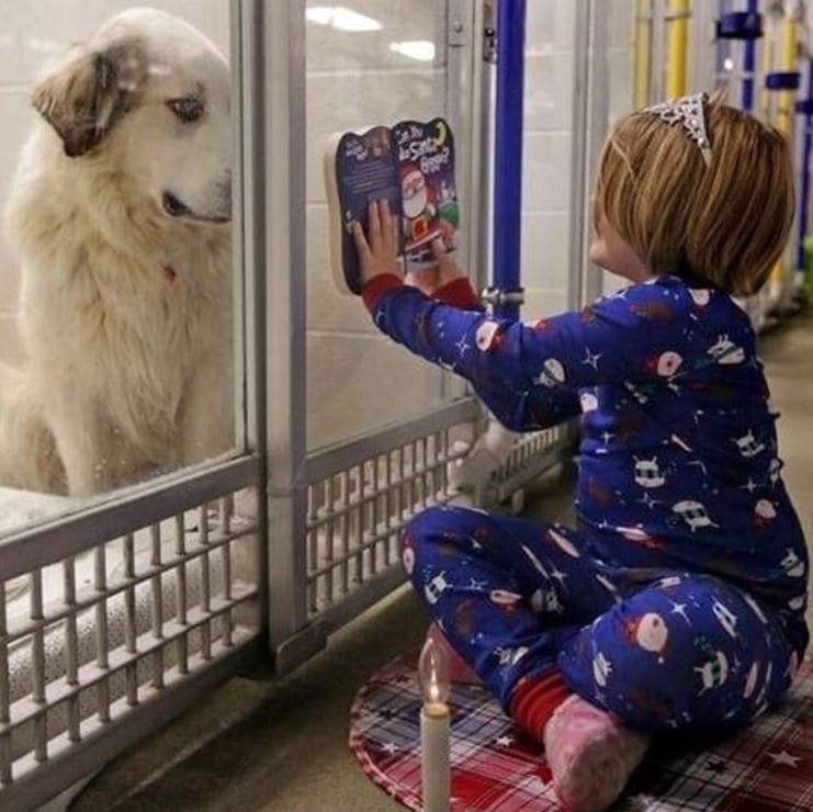 Kids bring holiday cheer and comfort to shelter animals with book reading and treats.
