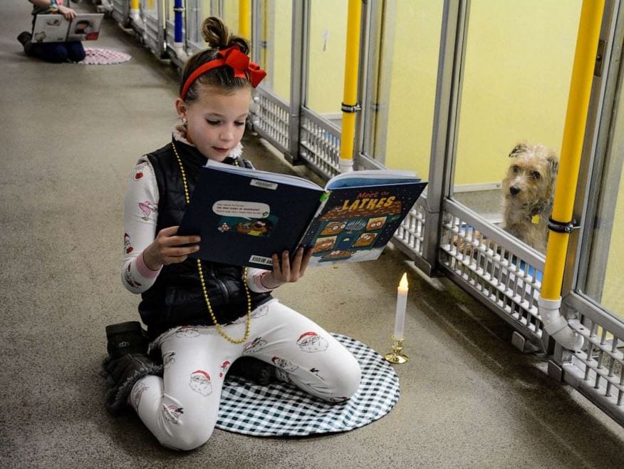 Kids bring holiday cheer and comfort to shelter animals with book reading and treats. 