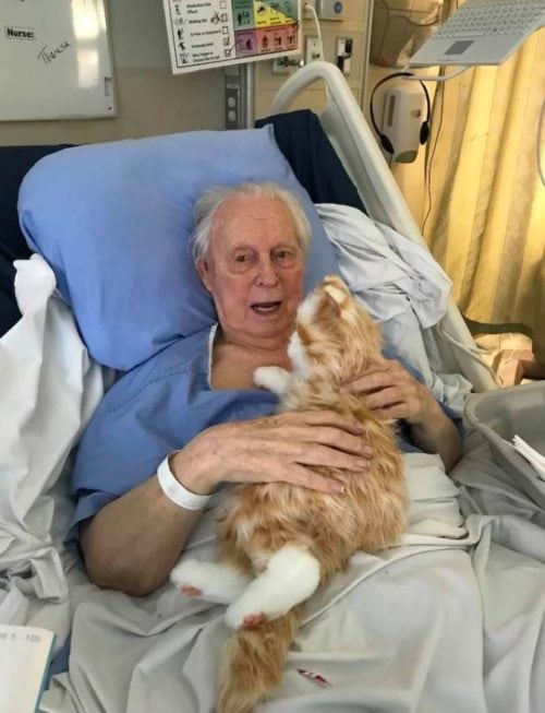 Dementia patient receives gift of lifelike, robotic cat that restored his sense of purpose making him calmer & happier.