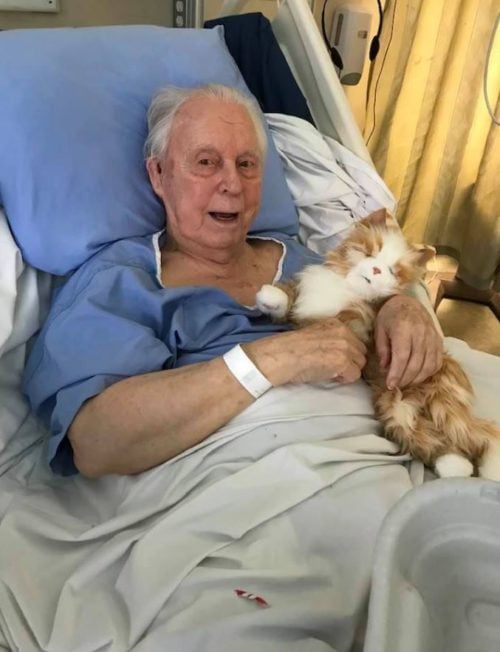 Dementia patient receives gift of lifelike, robotic cat that restored his sense of purpose making him calmer & happier.