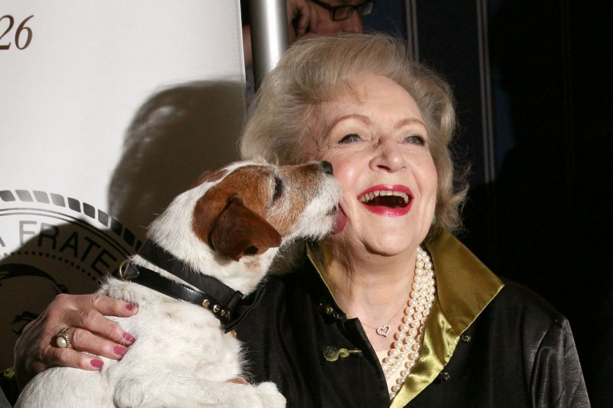 The ‘Betty White Challenge’ social media raises nearly $13M for animal shelters.