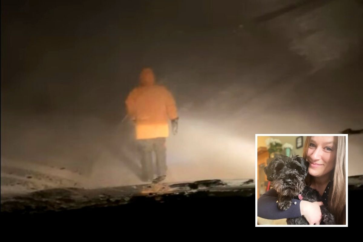 80-year-old man rescues stranded driver in blizzard after she sent an SOS on Facebook.