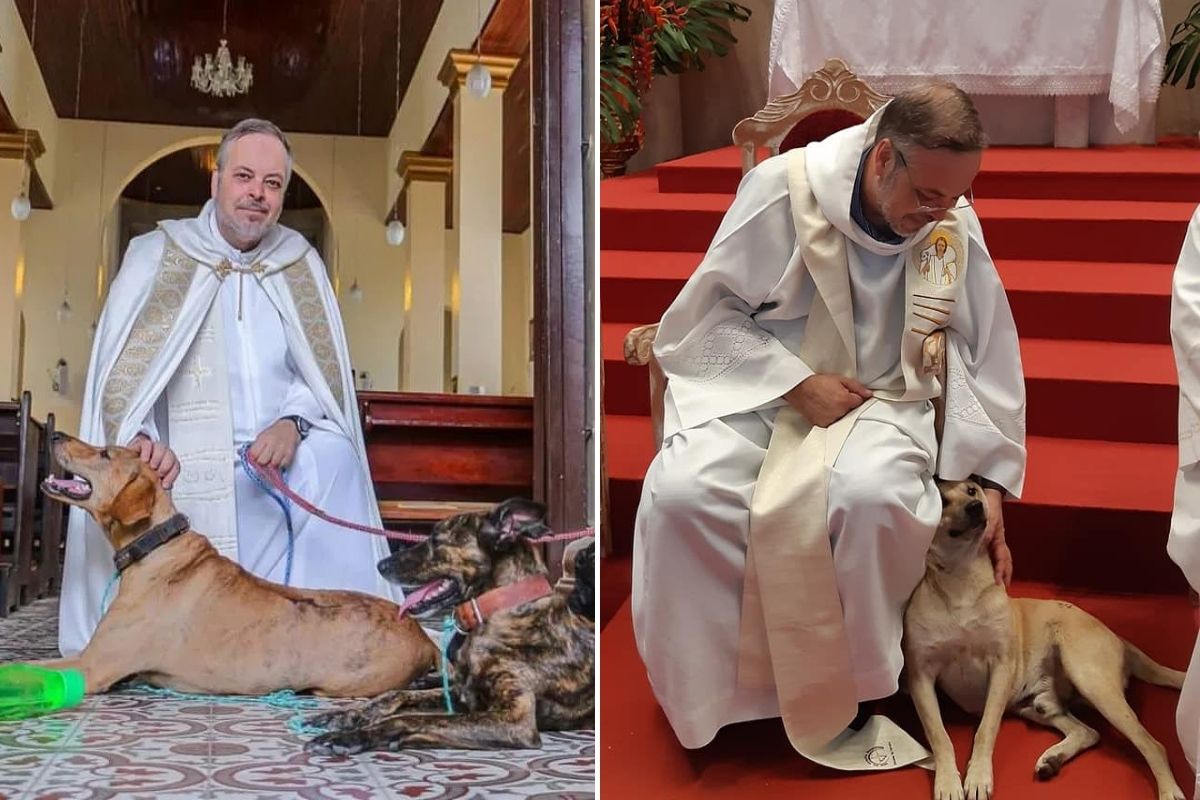 Brazilian priest brings stray dogs into his Masses to help them get adopted