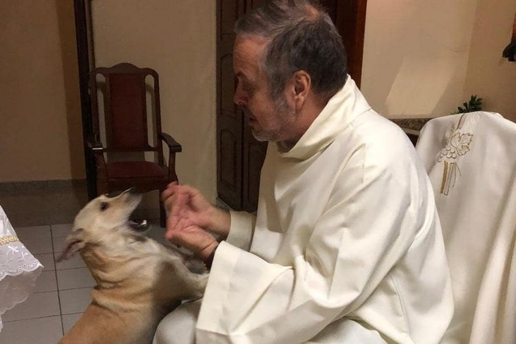 Brazilian priest brings stray dogs into his Masses to help them get adopted.