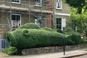 London Man’s Hedge Sculptures Honor Late Wife. 